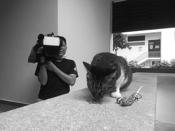 Rubi, the well-loved stray